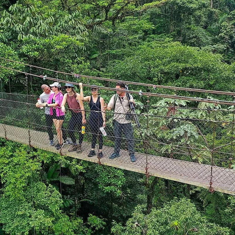 Exploring the rainforest canopy from the iconic Mistico hanging bridges.
