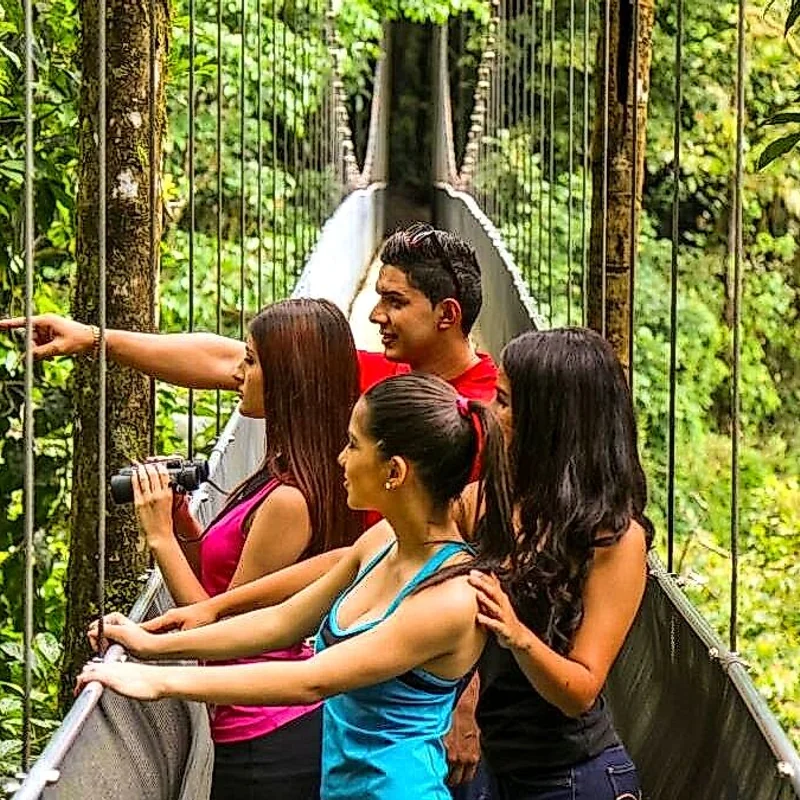 Adventure trail through bridges suspended over the lush jungle.