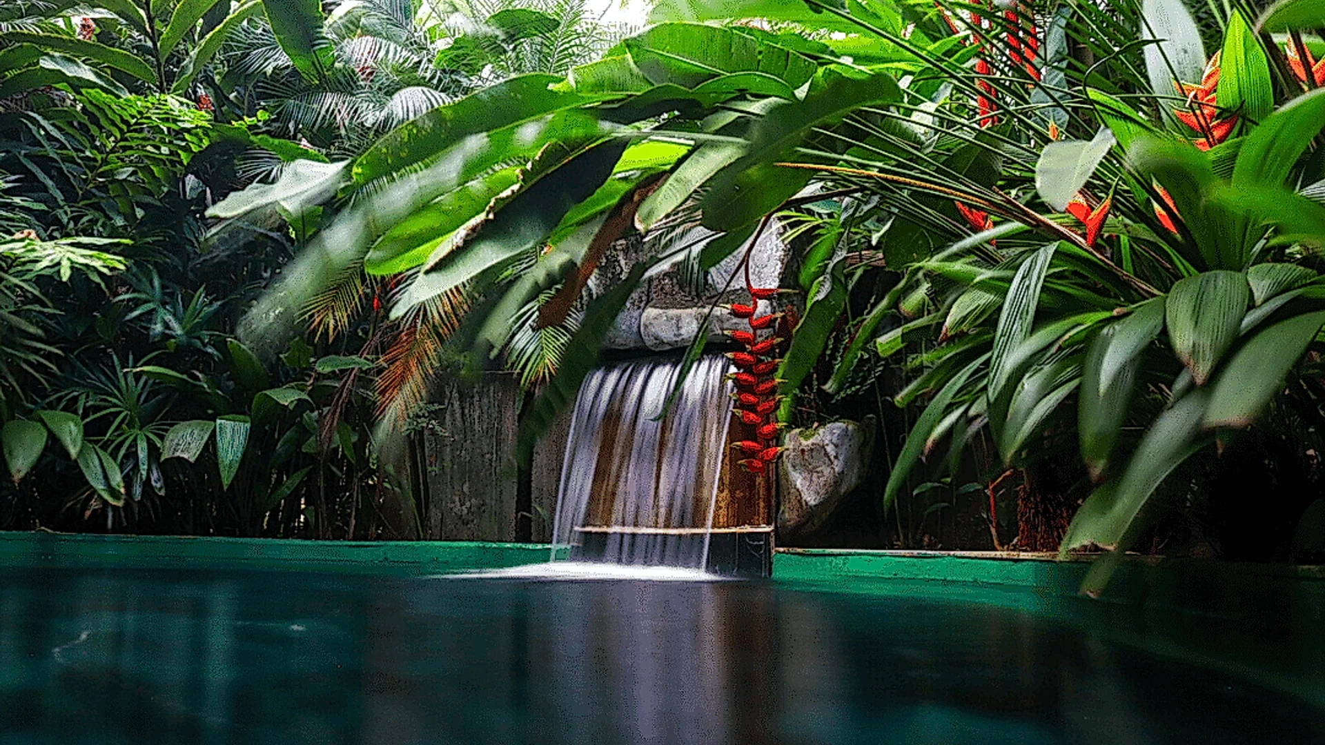 Spectacular views of the Arenal Volcano from the hot spring pools.