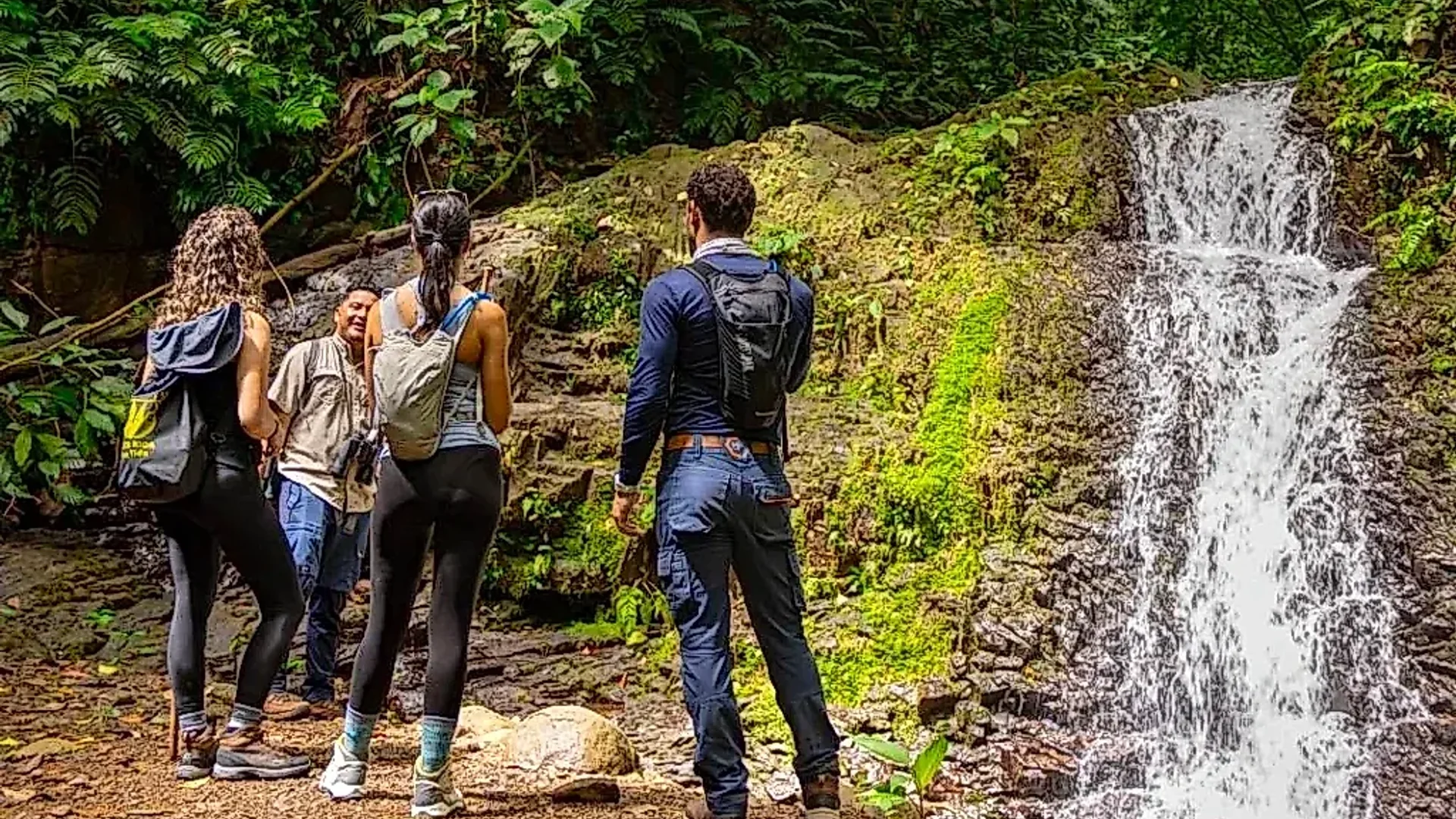 Challenging and rewarding hiking experience in the heart of Costa Rica.