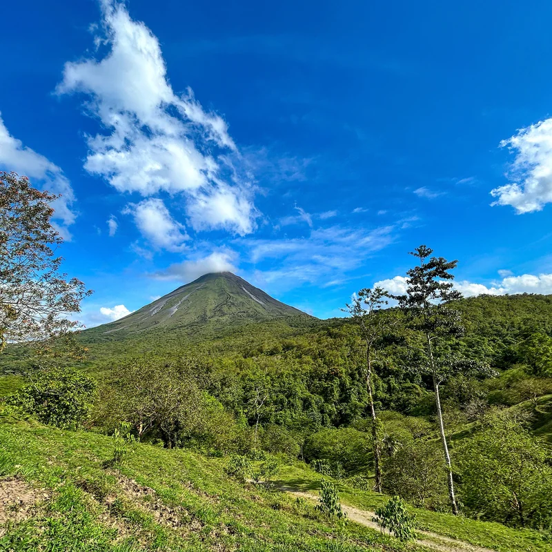 Hiking over the hanging bridges with panoramic views of the forest canopy.