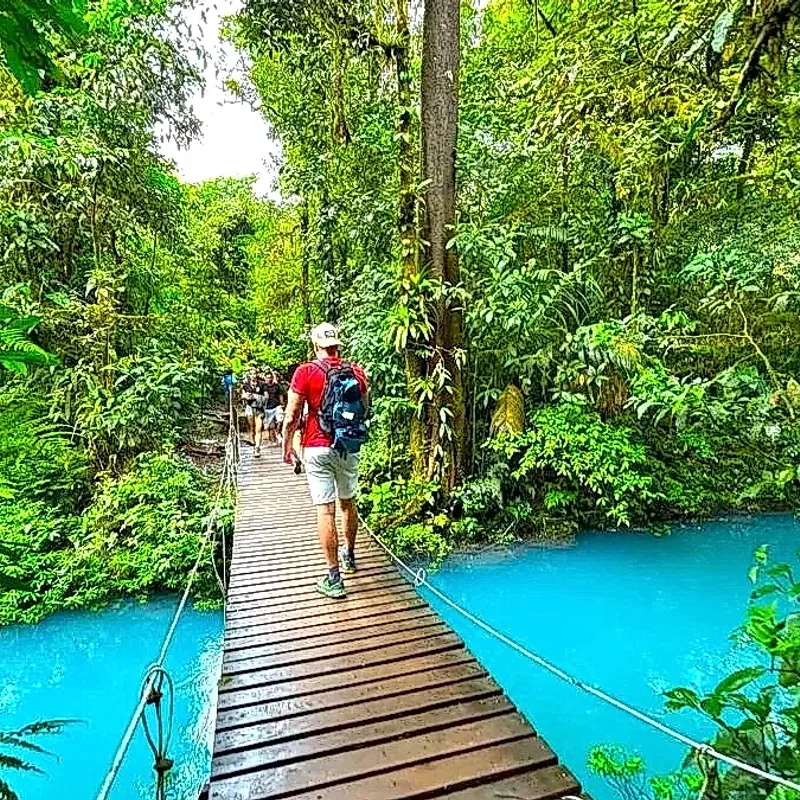 Hike through the Tenorio Volcano National Park trails toward the Teñidero.
