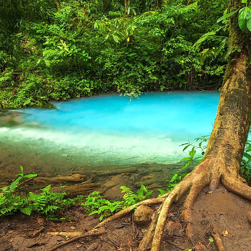 Majestic Rio Celeste waterfall with its famous turquoise blue waters.