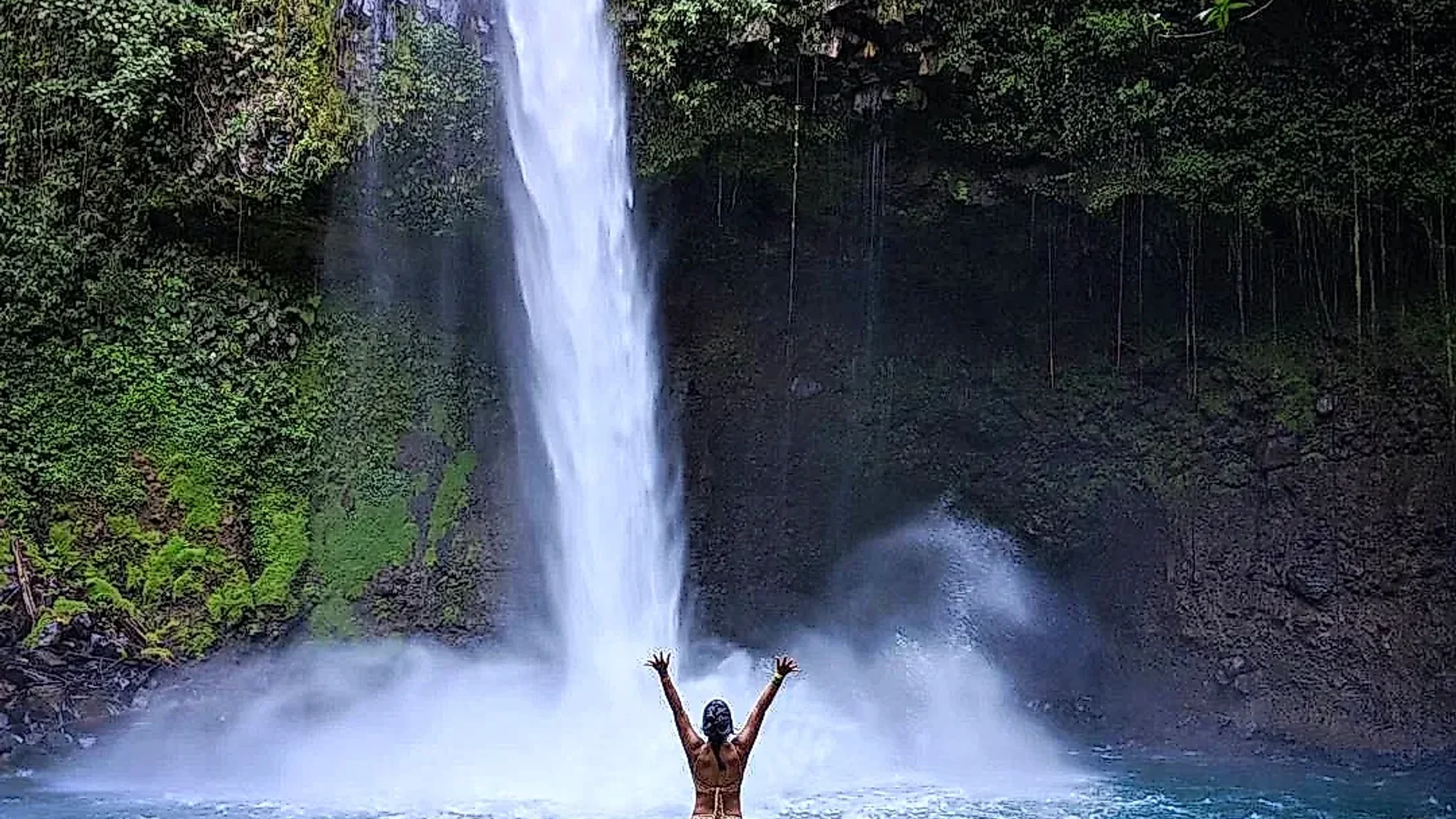 Day full of wildlife and stunning aquatic landscapes in Costa Rica.