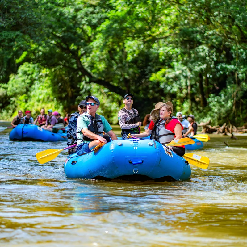 Peaceful navigation down the Peñas Blancas River spotting monkeys and sloths.