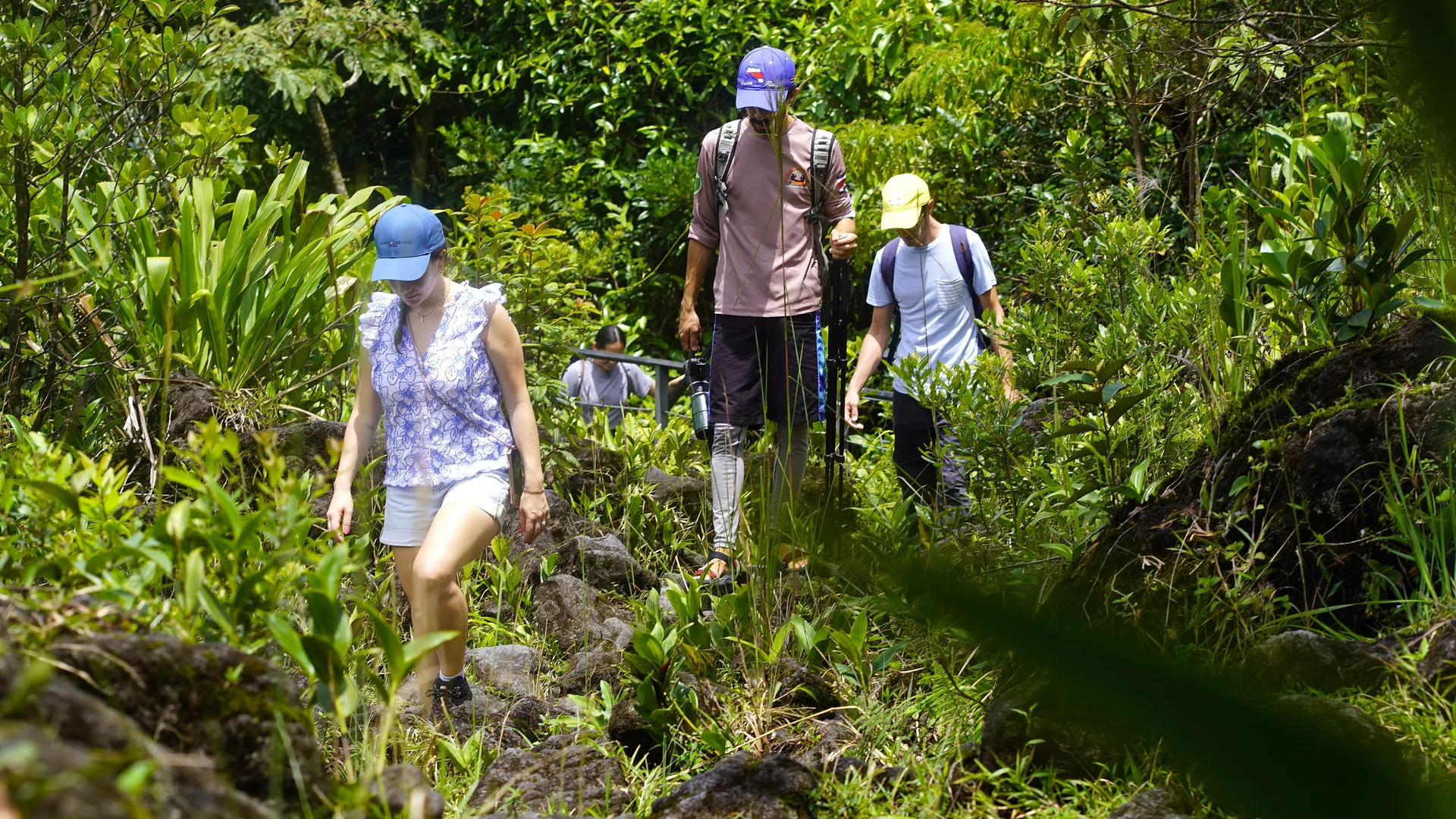 Exploration of unique biodiversity and geology on the slopes of the Arenal Volcano.